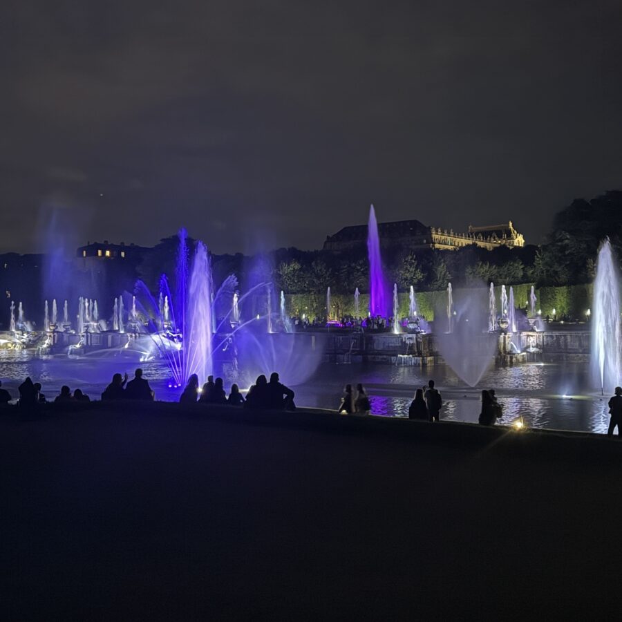 Les Grandes Eaux Nocturnes Electro